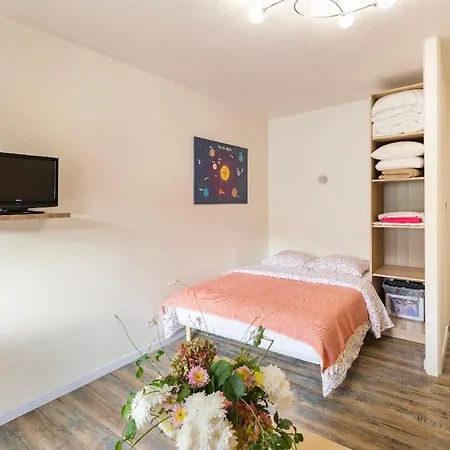 Location Petit F1 Neuf A Chatel-Guyon